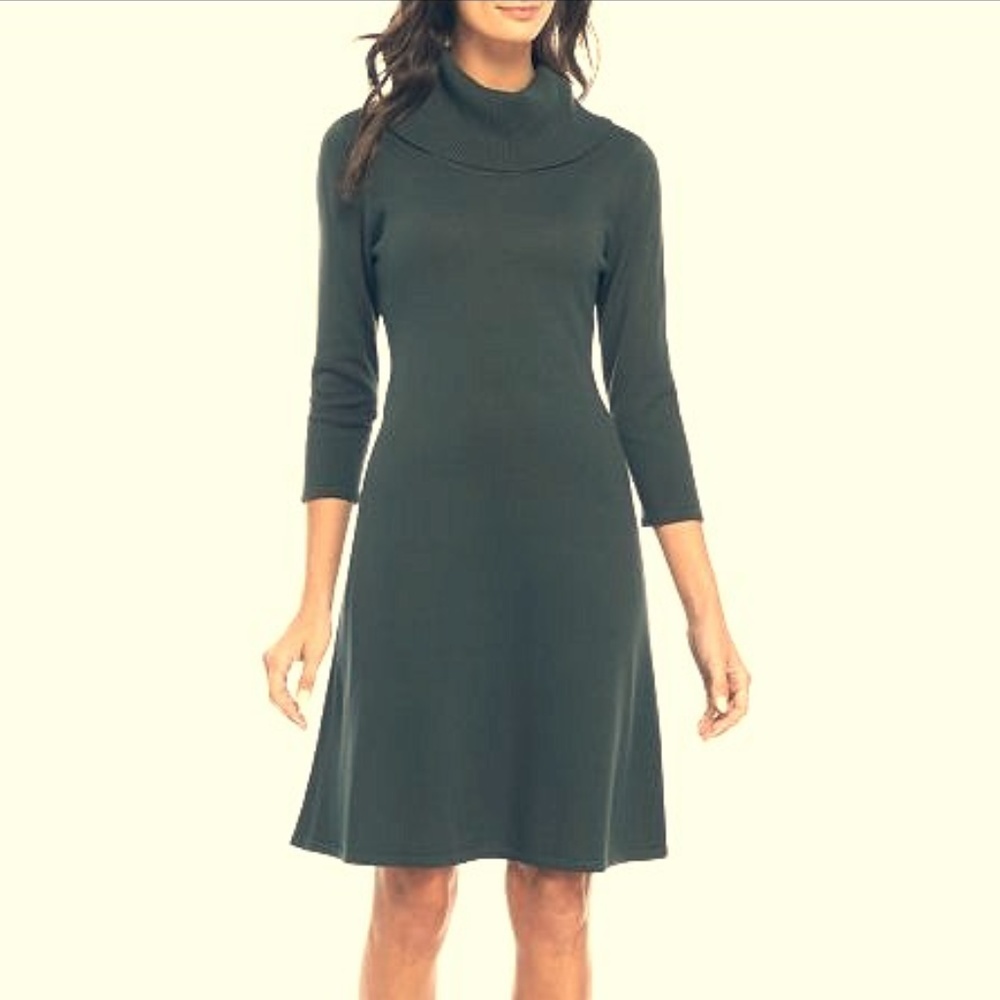Gorgeous gray Kim Rogers petite sweater dress